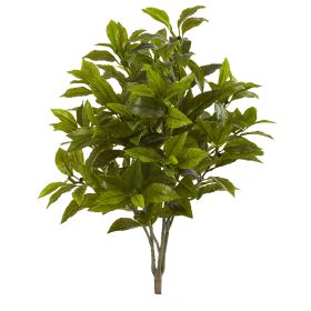 Coffee Leaf Artificial Plant (Set of 2) (Real Touch)