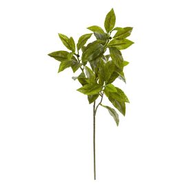 Coffee Leaf Artificial Plant (Set of 12) (Real Touch)