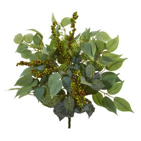 Mixed Ficus Fittonia and Berries Bush (Set of 6)