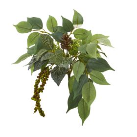 Mixed Royal Ficus and Fittonia Pick (Set of 12)