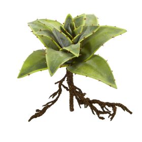 Succulent Artificial Plant with Roots (Set of 3)