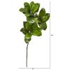 Magnolia Leaf Artificial Spray Plant (Set of 3)