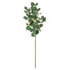 Eucalyptus Artificial Branch (Set of 6)