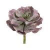 Echeveria Succulent Artificial Plant (Set of 6)