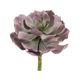Echeveria Succulent Artificial Plant (Set of 6)