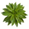 Succulent Pick Artificial Plant (Set of 3)