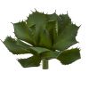 Succulent Pick Artificial Plant (Set of 2)