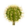 Cactus Artificial Plant (Set of 12)