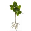 Foliage Branch with Intricate Roots System (Set of 2)