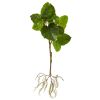 Foliage Branch with Intricate Roots System (Set of 2)