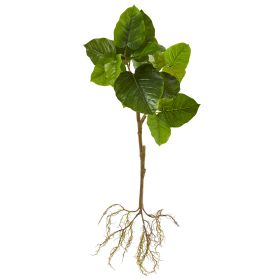 Foliage Branch with Intricate Roots System (Set of 2)