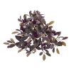 Fall Laurel Leaf with Berries Plant (Set of 3)