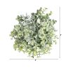 Frosted Eucalyptus Decorative Artificial Ball (Set of 3)