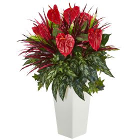 Mixed Anthurium Plant in White Tower Vase