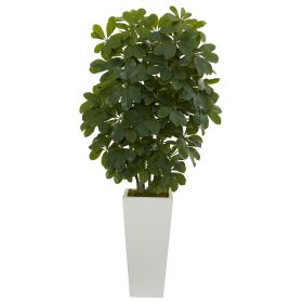Scheffera Plant in White Vase (Real Touch)