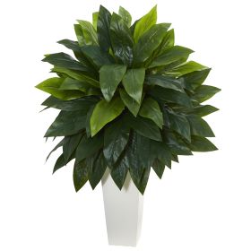 Cordyline Plant in White Tower Planter