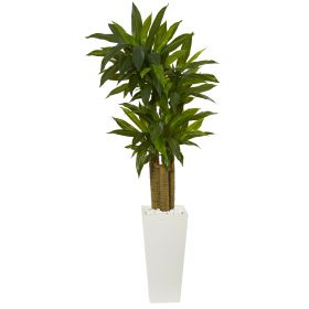 Cornstalk Dracaena Plant in White Tower Planter