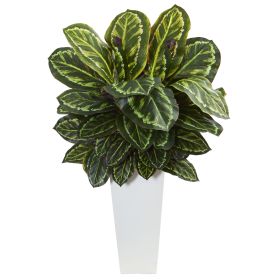 Maranta Plant in White Tower Vase