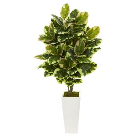 Variegated Rubber Leaf Plant in White Tower Vase
