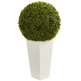 Boxwood Topiary Ball in White Planter (Indoor/Outdoor)