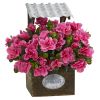 Azalea in Tin Roof Wood Planter