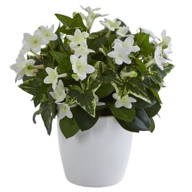 Stephanotis Plant in White Vase