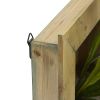 Staghorn in Wood Hanging Frame