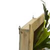 Staghorn in Wood Hanging Frame