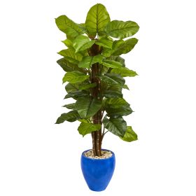 Large Leaf Philodendron in Blue Planter (Real Touch)