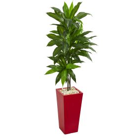 Dracaena Artificial Plant in Red Planter (Real Touch)