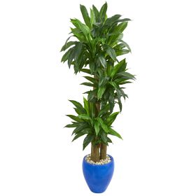 Dracaena Artificial Plant in Blue Planter (Real Touch)