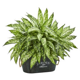 Aglonema Artificial Plant in Wood Planter