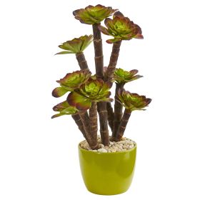 Echeveria Succulent Plant in Green Ceramic Pot