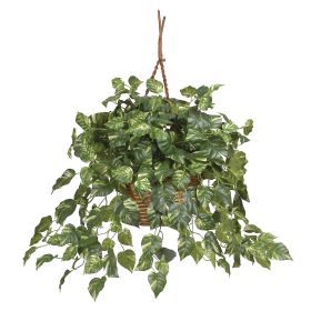 Pothos Hanging Basket