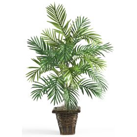 Areca Palm w/Wicker Basket
