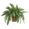 Boston Fern w/Wood Wicker Basket