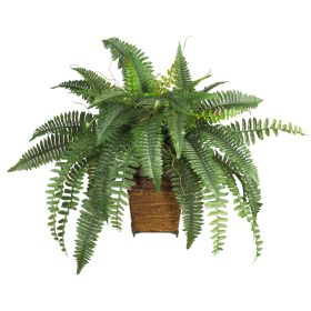 Boston Fern w/Wood Wicker Basket