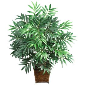 Bamboo Palm w/Wood Wicker Basket