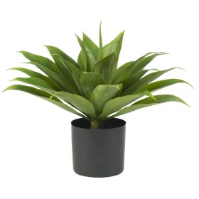Agave w/Plastic Pot