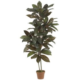 Cordyline Plant (Real Touch)
