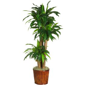 Corn Stalk Dracaena Silk Plant w/Planter (Real Touch)