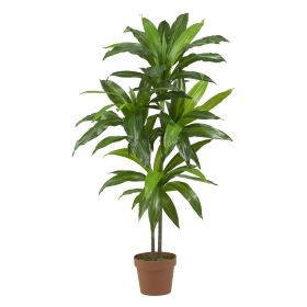 Dracaena (Real Touch)