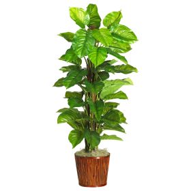 Large Leaf Philo Silk Plant w/Planter (Real Touch)