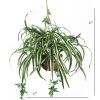 Spider Hanging Basket