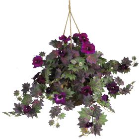 Morning Glory Hanging Basket