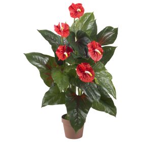 Anthurium Plant (Real Touch)