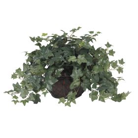 Puff Ivy w/Vase