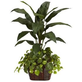 Bird of Paradise w/Vase & Pothos