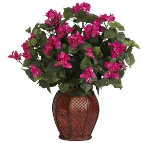 Bougainvillea w/Vase