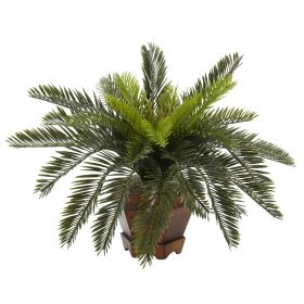Cycas w/Hexagon Vase